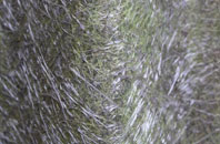 Gunnersbury fibreglass roof work